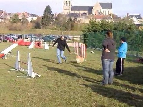 Entrainement Dsamy Agility Nov 11