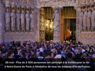 L'année 2011 en photos