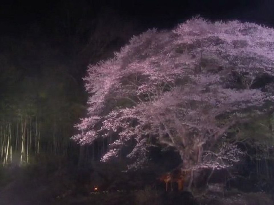 Wonderful Chill Out Music - Beautiful Kyoto