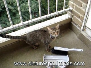 filet de protection pour chat sur le balcon
