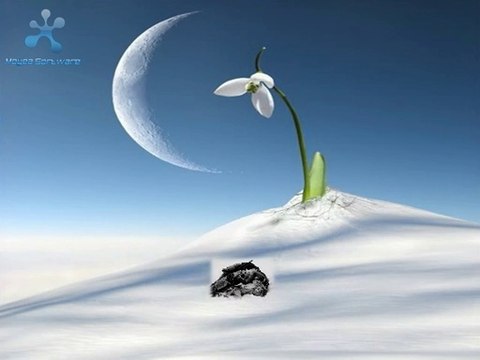 SARIKAMIŞ KAR ALTINDA... Ahmet ŞAFAK