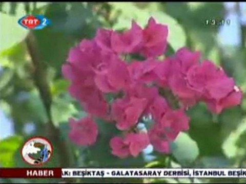 Haber Anadolu - 21.02.2010