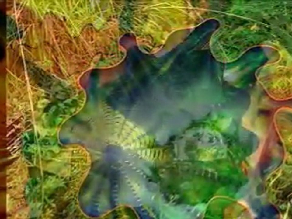 Chihuly art glace 2.