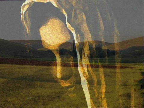 Dinle Sana Nasihat Edeyim