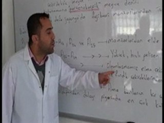 HORMONLAR (BGD)-- wwww.tarımtekçatıaltında.com.tr