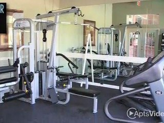 Arbor Mill Apartments in Norcross, GA - ForRent.com
