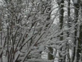 Quand tombe la neige