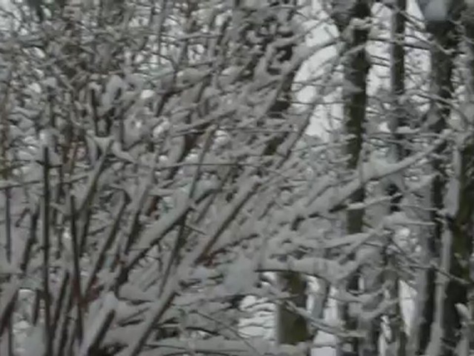 Quand tombe la neige