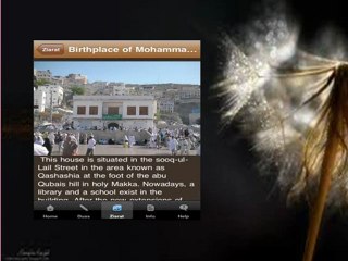 Information found in different tabs of Hajj and Umrah application