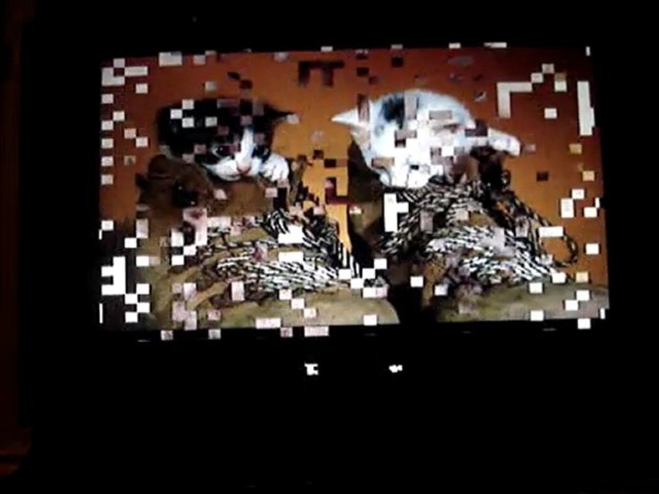 dailymotion