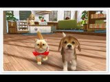 Nintendogs   Cats Toy Poodle & New Friends (USA) Xyphon 3DS ROM Download
