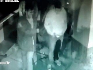 Il finit le nouvel an ivre