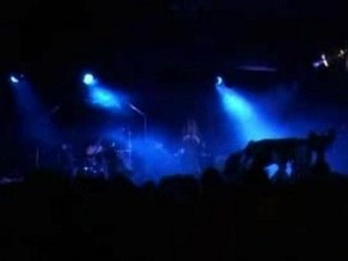 04 - Crucifere - eths live