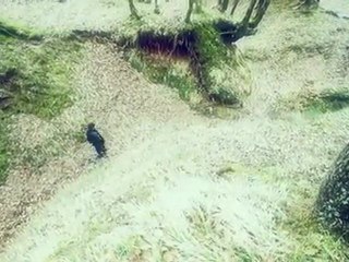 Arafta (Mabel Matiz)