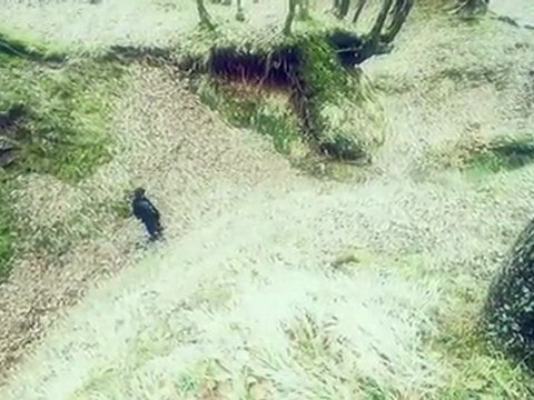 Arafta (Mabel Matiz)