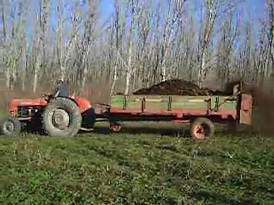 épandeur fumier heywang 3T5 + MF 37