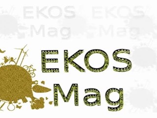 Ekos Mag #2 : Spéciale fêtes de fin d'année