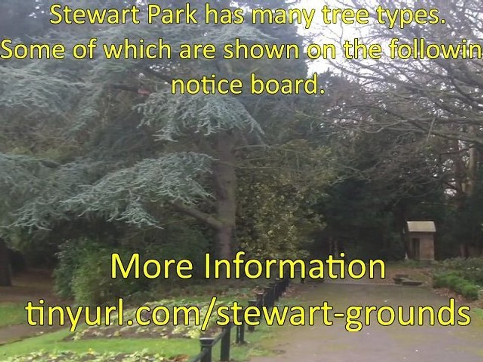 Stewart Park Walkabout, 29 December 2011