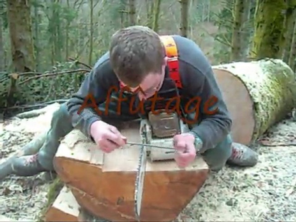 Bac Pro Forêt - Travaux Pratiques