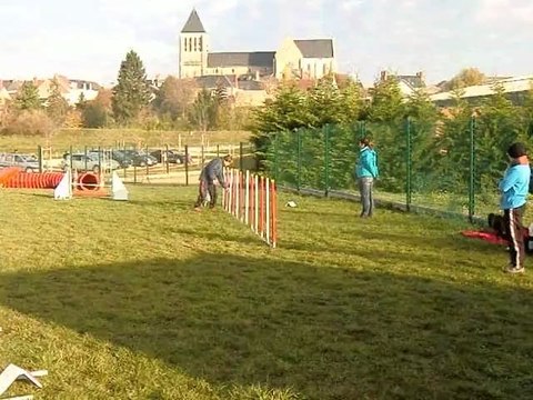 Entrainement Cheyenne Agility Nov 11