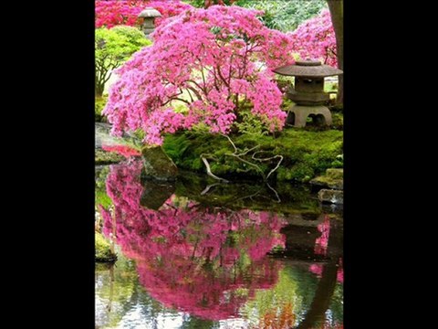 UŞŞAK UD & KANUN TAKSİMİ