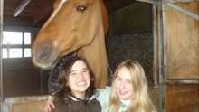 chevaux manège