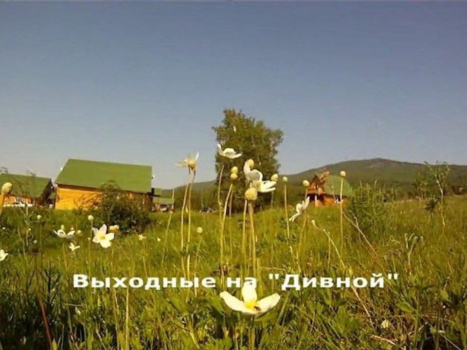Дивная
