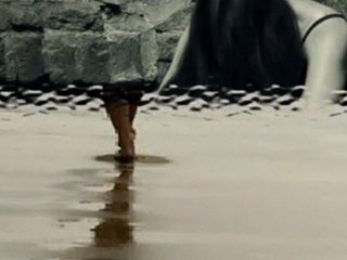 Gökyüzünde Yalnız Gezen Yıldızlar*Neşe Karaböcek*Şiir Okyanusu