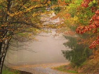 YAVUZ BİNGÖL-ZİFİR SAÇLARIN