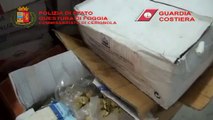 Cerignola (FG) - Sequestrate 18 tonnellate di pesce avariato