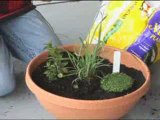 Herb Container Gardening For The Apartment Owner - How to have a garden without a yard