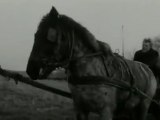 The Turin Horse - opening scene