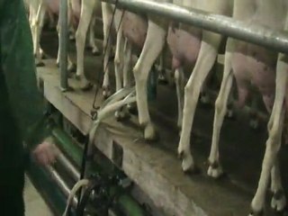 Evolution des techniques de traite