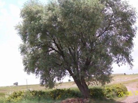 EKİNLİ KÖYÜ TOMARZA KAYSERİ