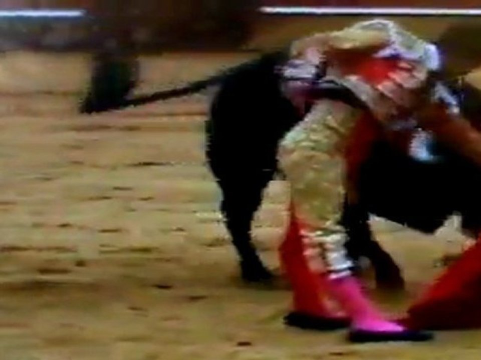GARCIGRANDE 2011