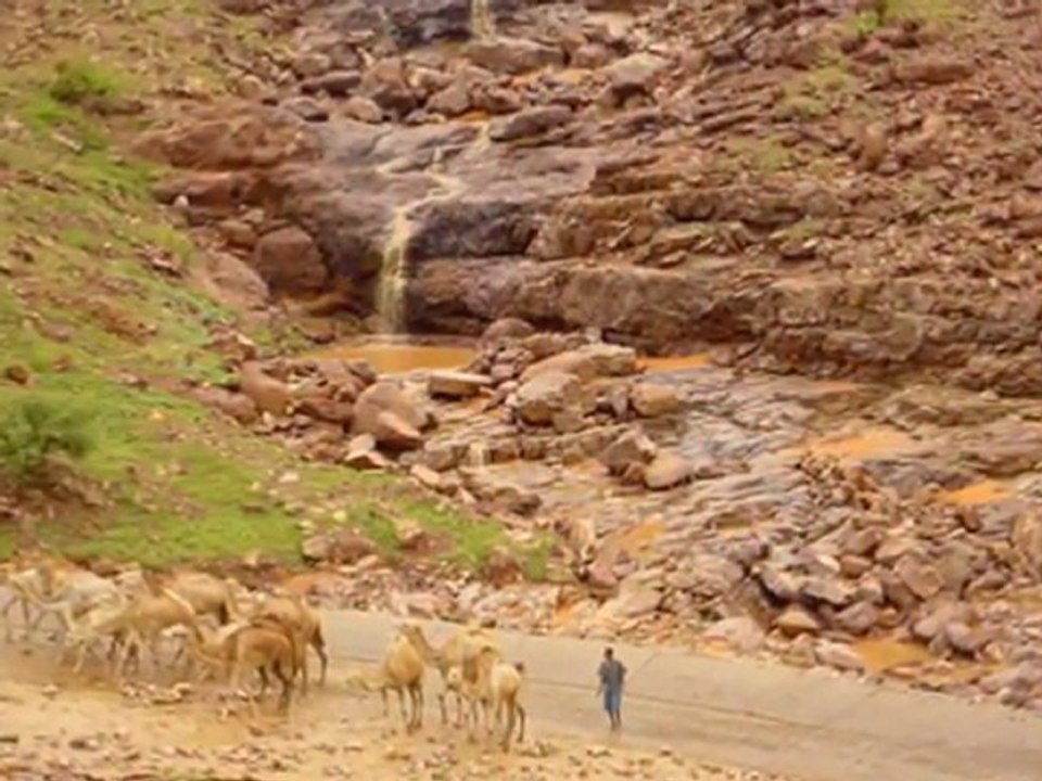 الي نهواه فترابي       الناهة السالك