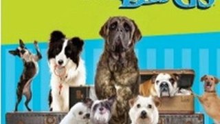 Hotel For Dogs Wii ISO Download (EUR) (PAL)