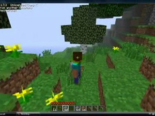 Minecraft Funny mod with cool animations