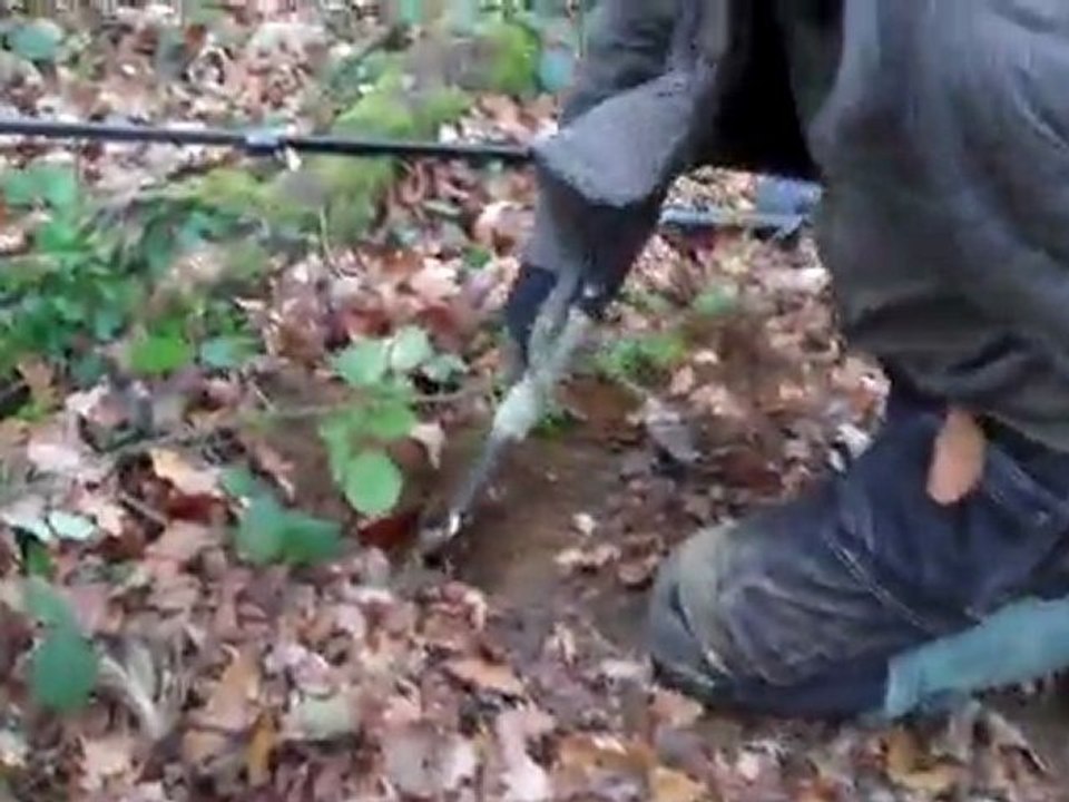 finding gold coin metal detecting with the xp deus