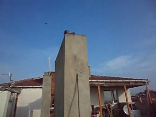 kaynarca ali demir dumanlı aynakuyruk