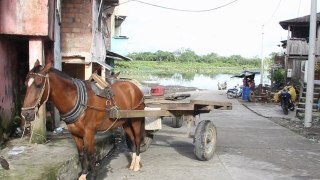 Las toldas: ventas de comida tradicional en Puerto Asis, Putumayo, Colombia