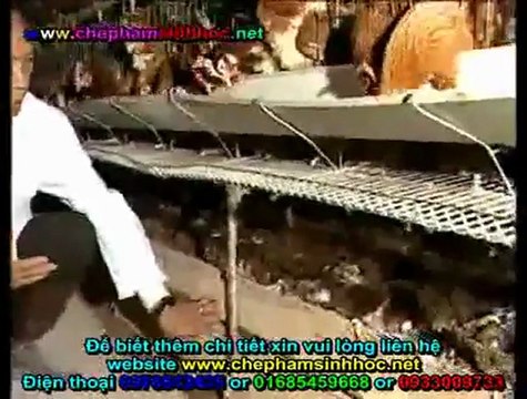 thảm sinh học - thảm sinh thái - đệm lót sinh thái - đệm lót lên men balasa