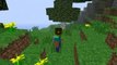 Minecraft Funny mod with cool animations