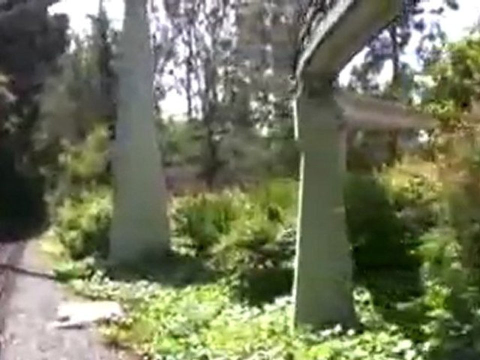 The Disneyland Railroad