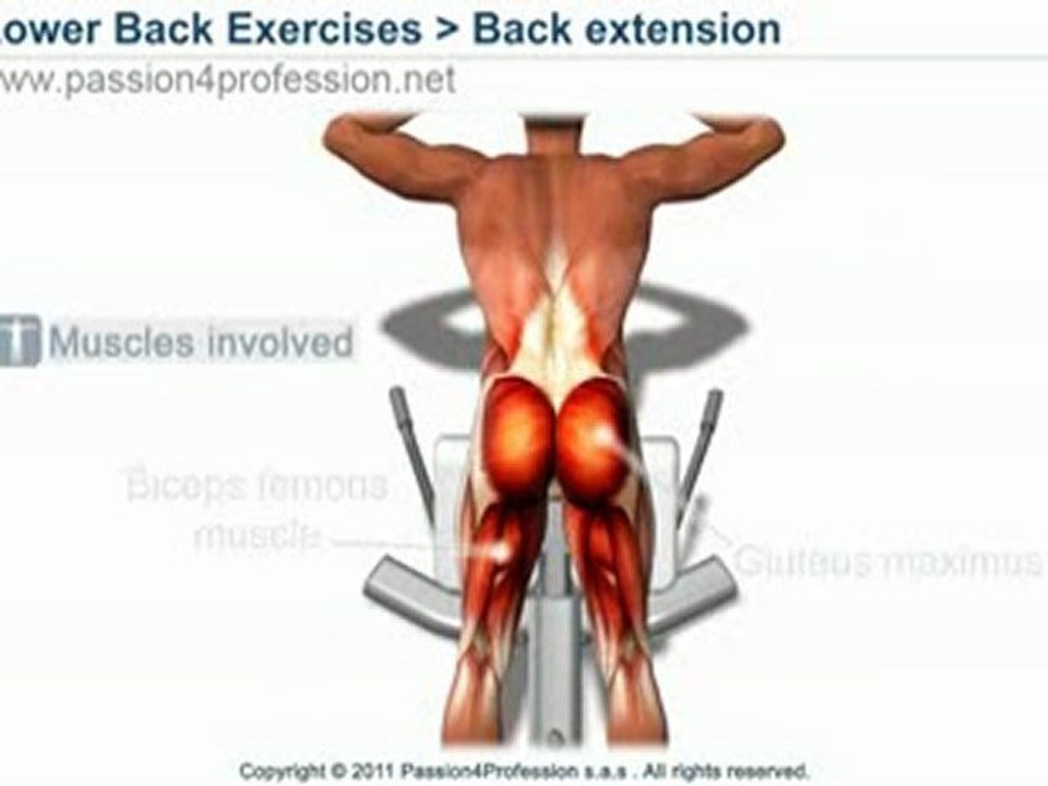 Hyperextension lower back exercises
