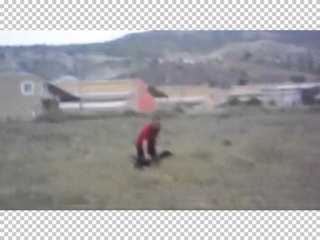 Şila kurzhaar eğitim videosu.