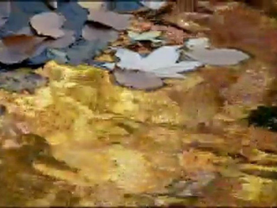 AVI ex3