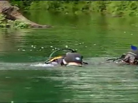 un été près de chez nous