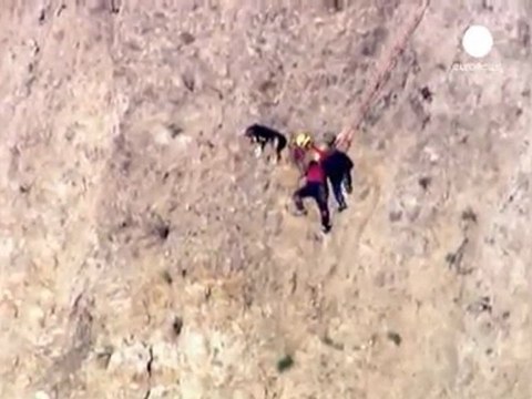 Usa: 19enne rischia la vita per salvare il cane