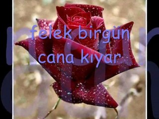 Şu Benim Divane Gönlüm